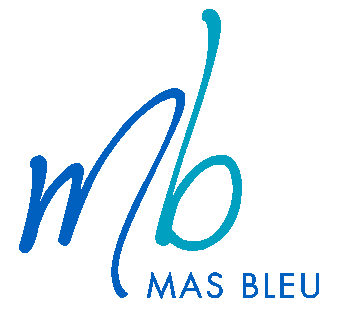 logodumasbleu.png